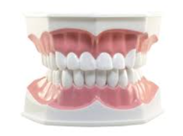 PLAT VALPLAST/PERGIGI